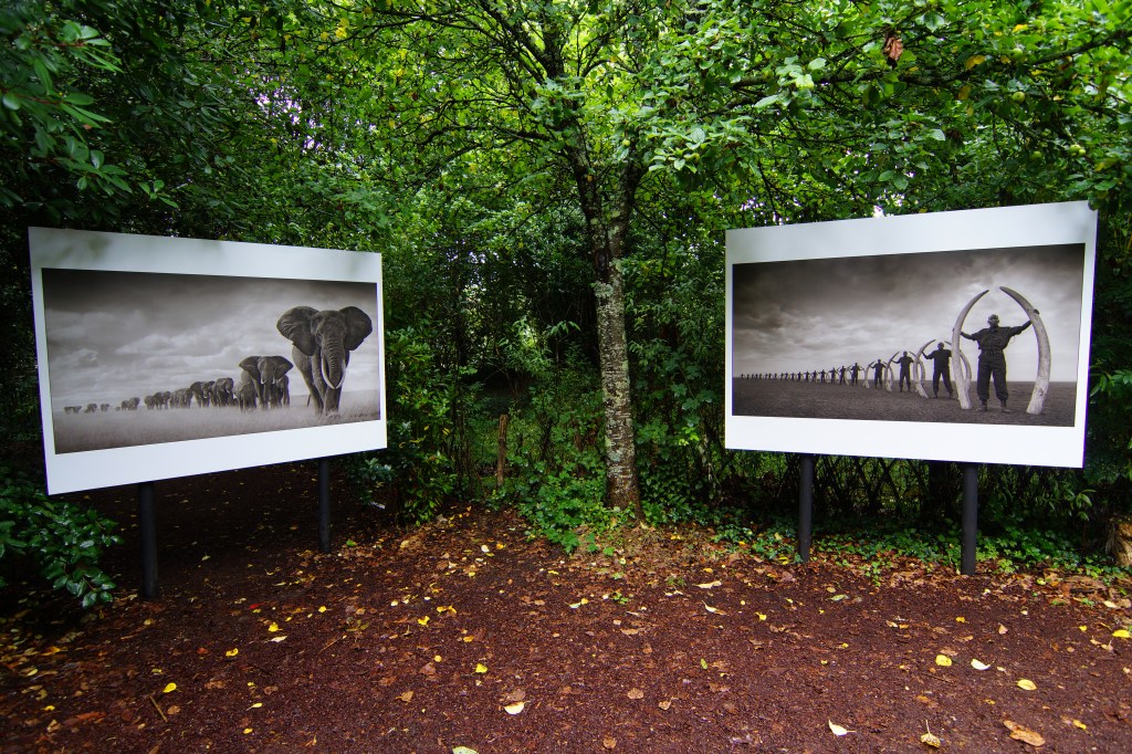 © Nick Brandt. Photo: Mélina Huet