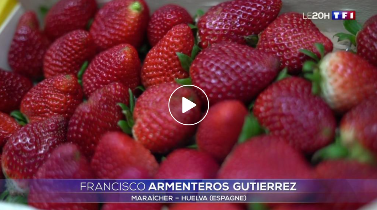 Capture d’écran 2019-05-06 à 15.06.53